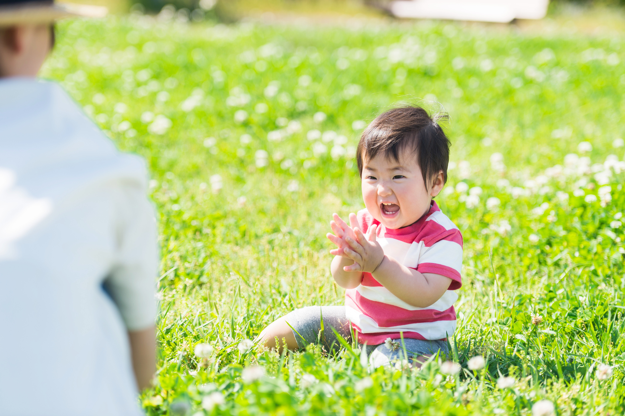 親権と監護権の違いとは?分けるメリット・デメリットや手続の進め方を弁護士が解説
