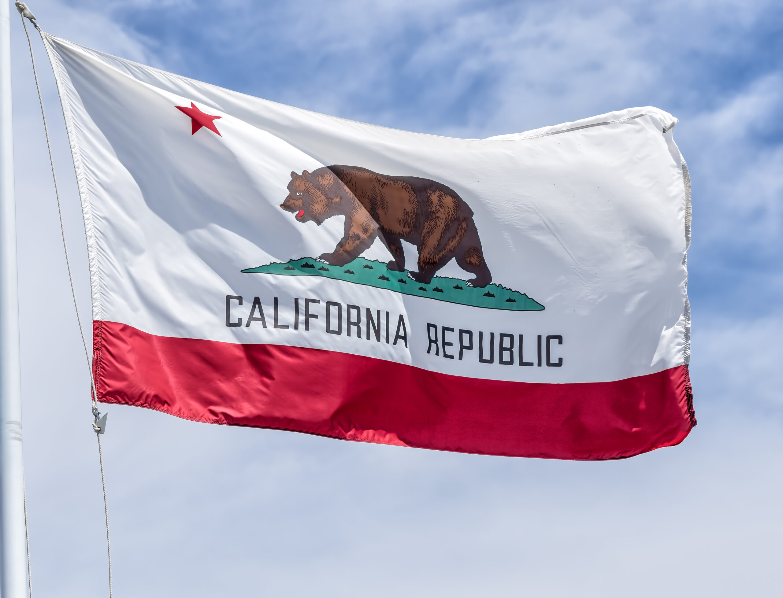 【新着記事】カリフォルニア州での離婚を解説する記事を公開しました！